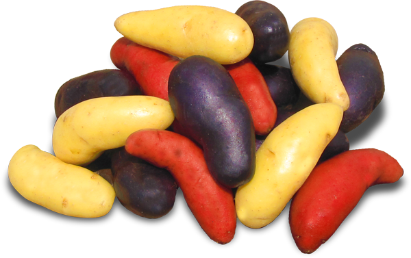 mixed fingerlings